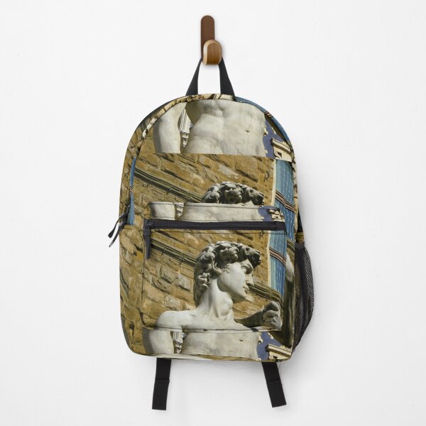 Item preview, DAVID by MICHAELANGELO in FLORENCE designed and sold by MTD-Archives.