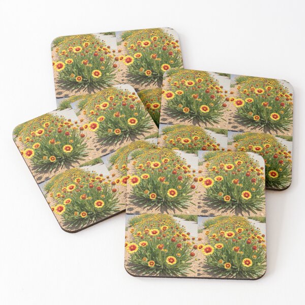Item preview, Sand: Blanket Flowers ⌥ designed and sold by MIIKE DESIGN.