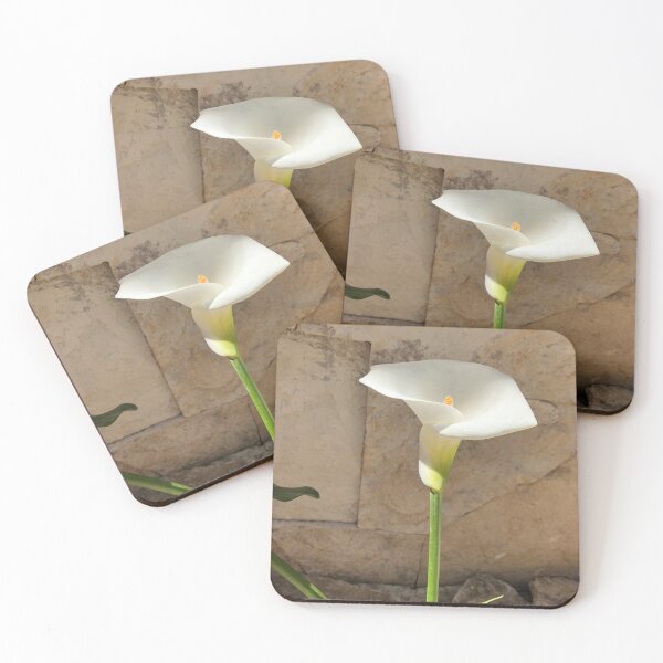 Item preview, White Gannet designed and sold by RDLT.