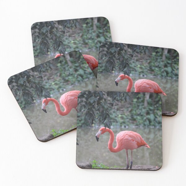 Item preview, Flamingo designed and sold by AnthonyThomas.