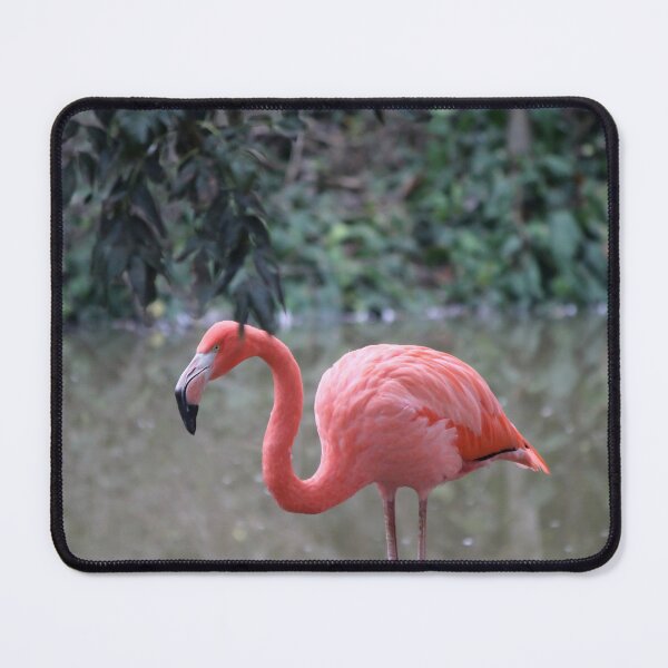 Item preview, Flamingo designed and sold by AnthonyThomas.