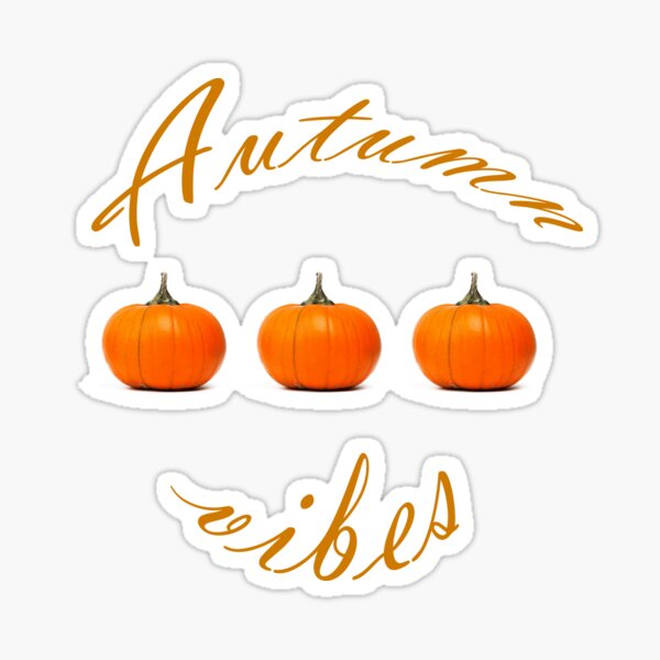 Autumn vibes pumpkin design, orange design. Sticker