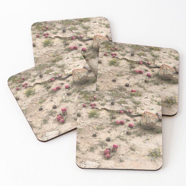 Item preview, Snake among prickly pears designed and sold by RDLT.