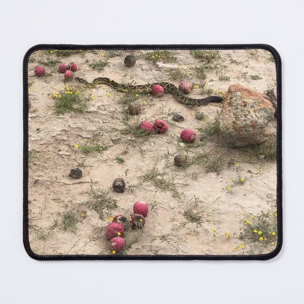 Item preview, Snake among prickly pears designed and sold by RDLT.