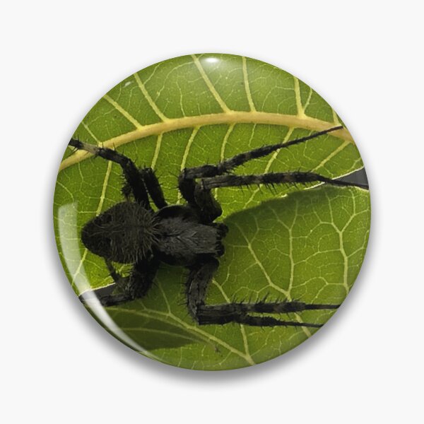 Artikelvorschau, Schwarze Spinne auf Walnussblättern entworfen und verkauft von RDLT.