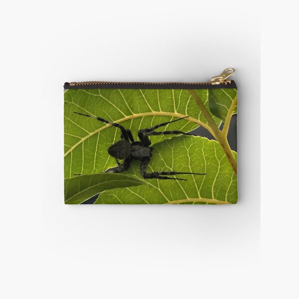Item preview, Black spider on walnut leaves designed and sold by RDLT.