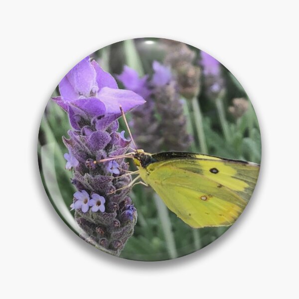 Item preview, Yellow butterfly feeding on lavender designed and sold by RDLT.