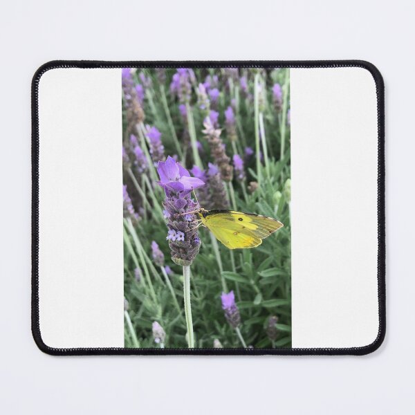 Item preview, Yellow butterfly feeding on lavender designed and sold by RDLT.