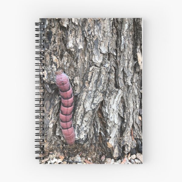 Item preview, Red caterpillar climbing a trunk designed and sold by RDLT.