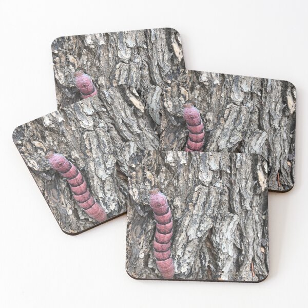 Item preview, Red caterpillar climbing a trunk designed and sold by RDLT.