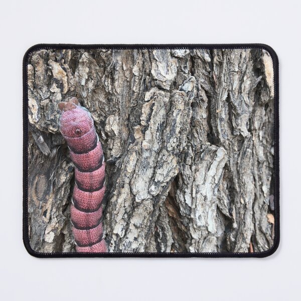 Item preview, Red caterpillar climbing a trunk designed and sold by RDLT.