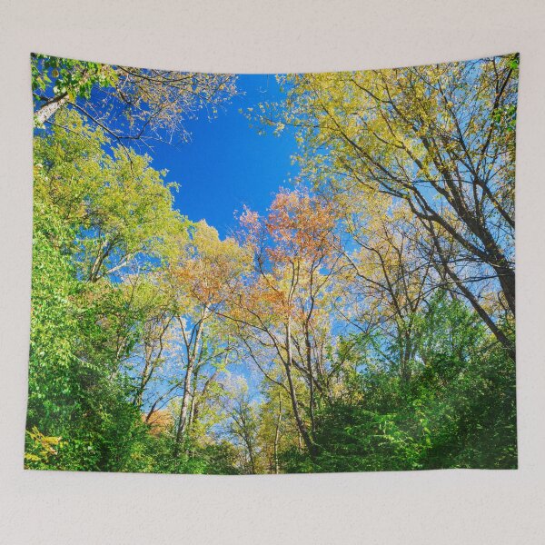 Item preview, Flanking the aisles of a woodland cathedral designed and sold by Joel Bader.