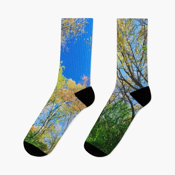 Item preview, Flanking the aisles of a woodland cathedral designed and sold by Joel Bader.