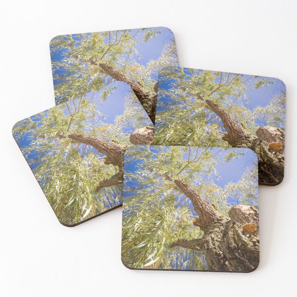 Item preview, What grows up--must come down!! designed and sold by Joel Bader.