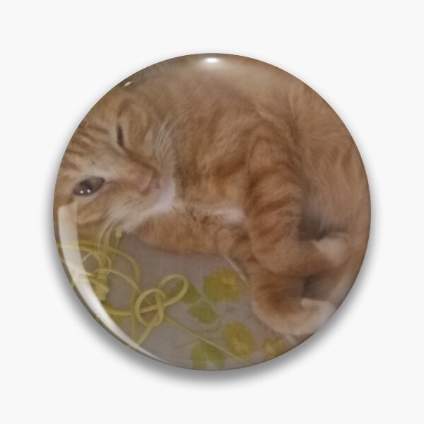 Item preview, Cat winking designed and sold by Crispaytaco.