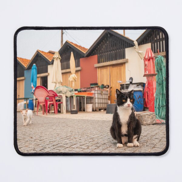 Item preview, Cats of Portugal designed and sold by Adrienne Bizzarri.