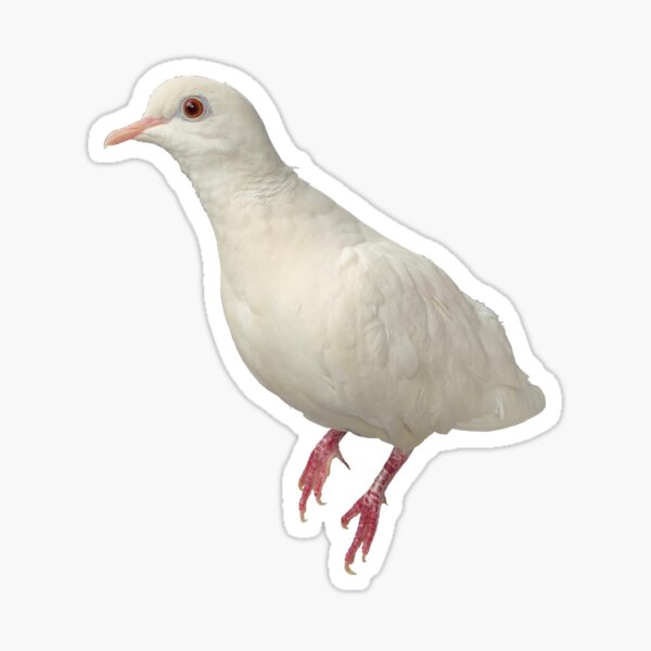Natrium Sticker