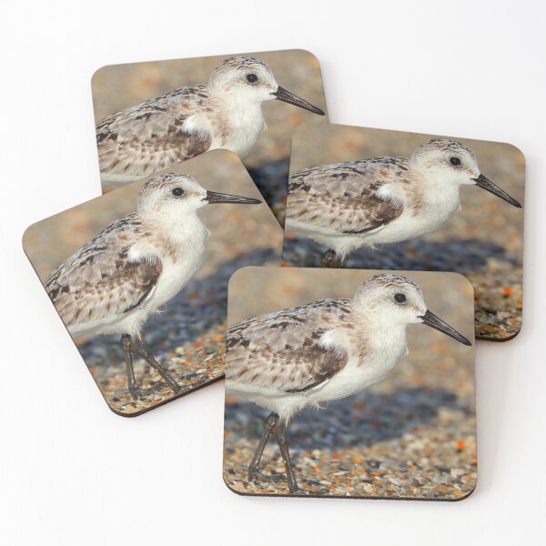 Item preview, Sand Piper designed and sold by Parks and X.