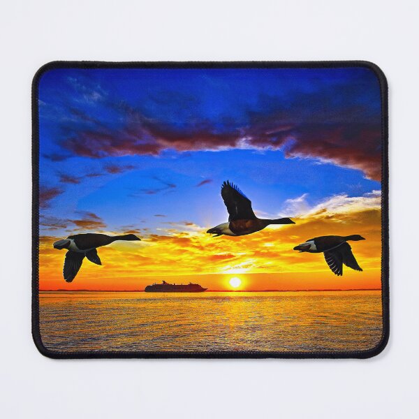 Item preview, The Geese Patrol and Carival to Florida and the Bahamas, designed and sold by DBM Photo Art 1.