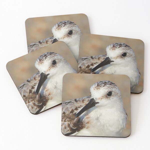 Item preview, Sand piper designed and sold by Parks and X.