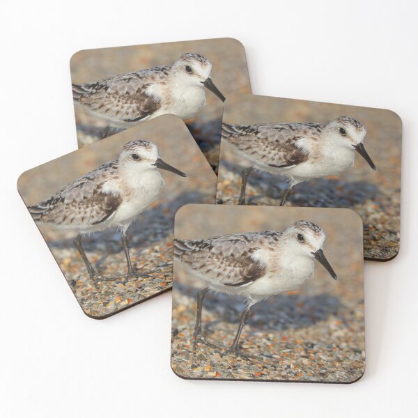 Item preview, Sanderling designed and sold by Parks and X.