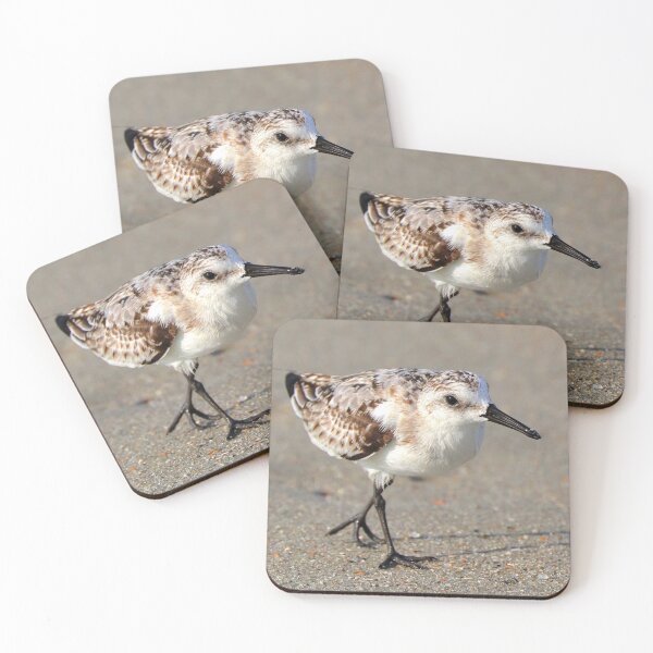 Item preview, Beach Bird designed and sold by Parks and X.
