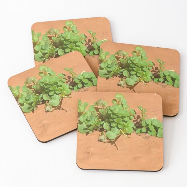 Item preview, Tiny garden designed and sold by Crispaytaco.