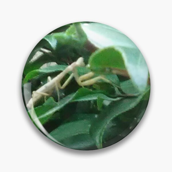 Item preview, White Praying Mantis designed and sold by Crispaytaco.
