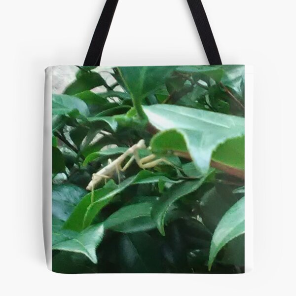 Item preview, White Praying Mantis designed and sold by Crispaytaco.