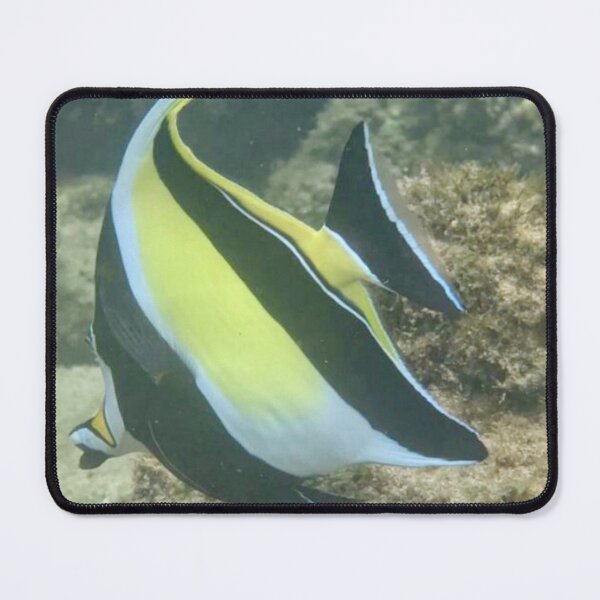 Item preview, Kihikihi designed and sold by Scurvy Dawg Design.