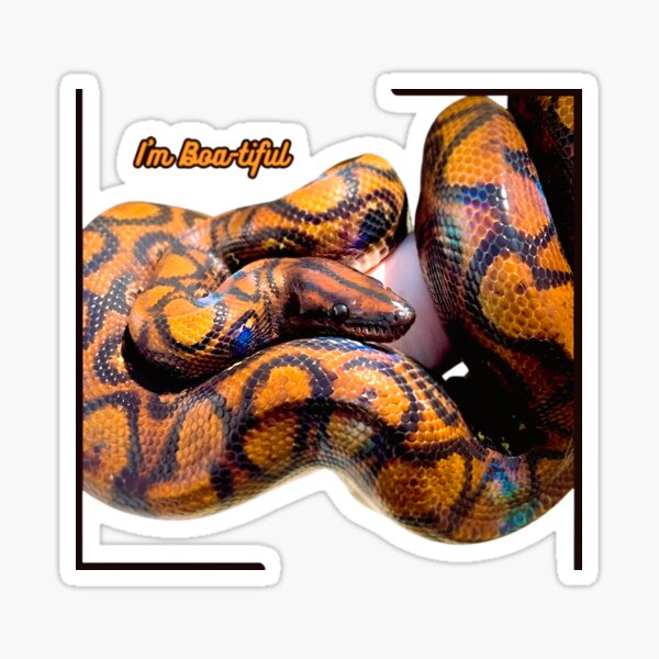Item preview, Boa-tiful designed and sold by CaptainAFS.