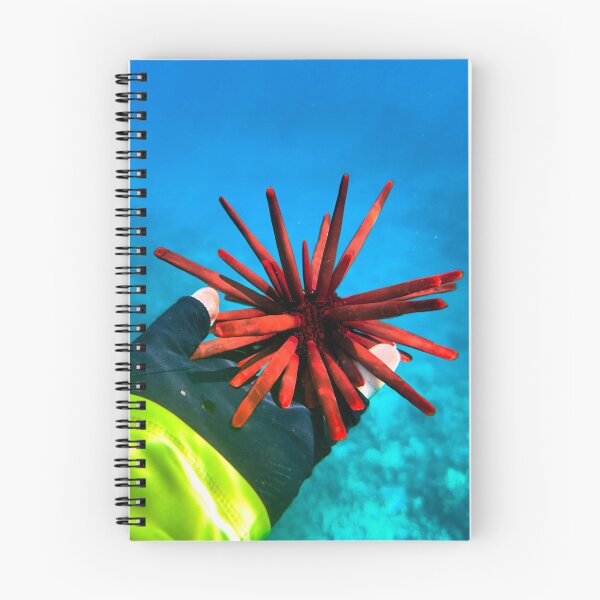 Item preview, Red Slate Urchin designed and sold by Scurvy Dawg Design.