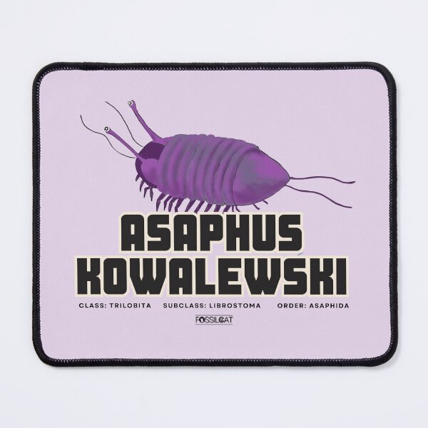Item preview, Asaphus Kowalewski designed and sold by FossilCat.