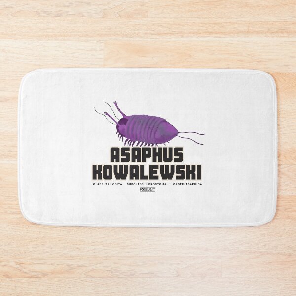 Item preview, Asaphus Kowalewski designed and sold by FossilCat.