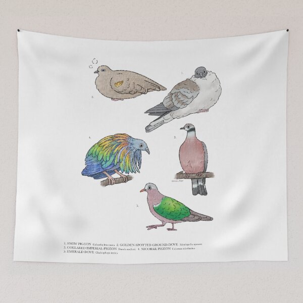 Item preview, Doves and pigeons transparent  designed and sold by sleepysluggo.