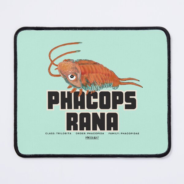 Item preview, Phacops Rana designed and sold by FossilCat.
