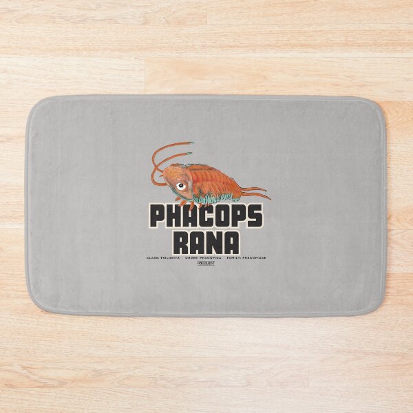 Item preview, Phacops Rana designed and sold by FossilCat.
