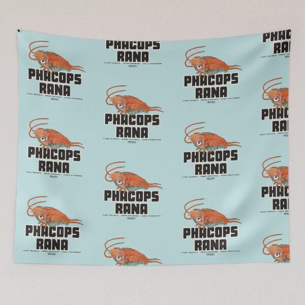 Item preview, Phacops Rana designed and sold by FossilCat.