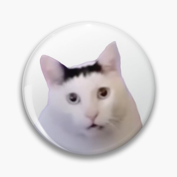Item preview, Cat Silly Be Fr Reaction sticker designed and sold by mariposa-23.