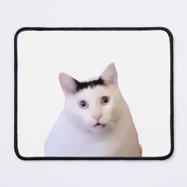 Item preview, Cat Silly Be Fr Reaction sticker designed and sold by mariposa-23.