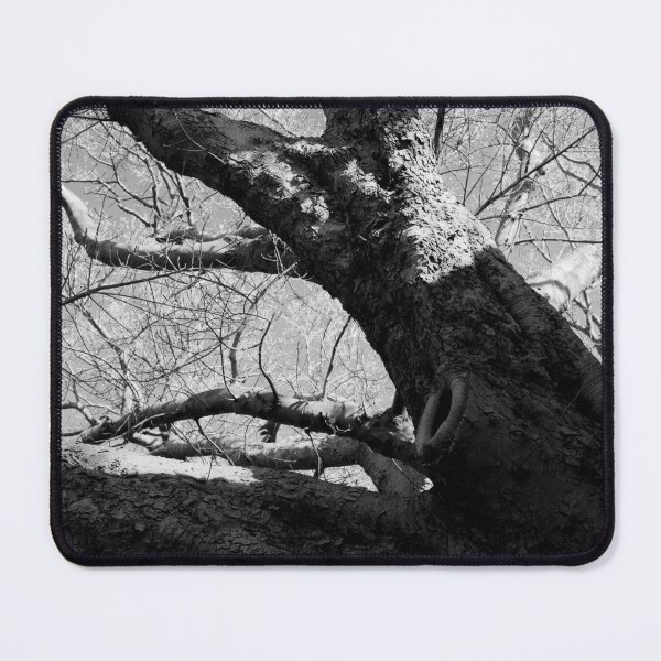 Item preview, Majestic Giant designed and sold by Siene Browne.