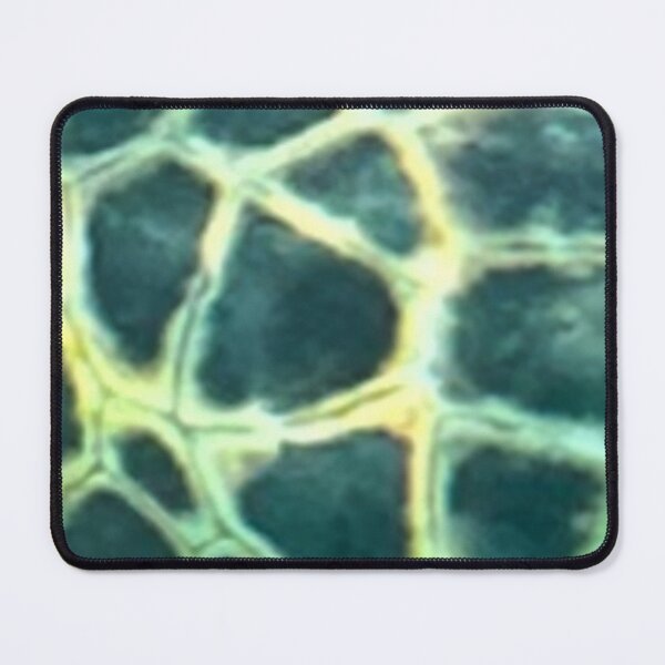 Item preview, Honu Scales designed and sold by Scurvy Dawg Design.