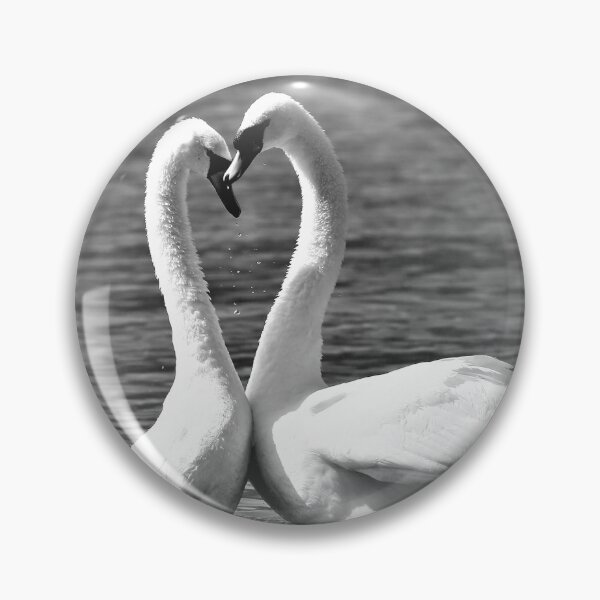 Item preview, Swan Heart  designed and sold by Mothboybrown.