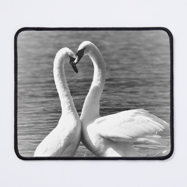 Item preview, Swan Heart designed and sold by Mothboybrown.