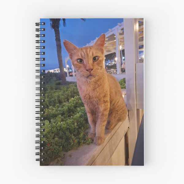 Artikelvorschau, Griechische Katze entworfen und verkauft von Beccasax.