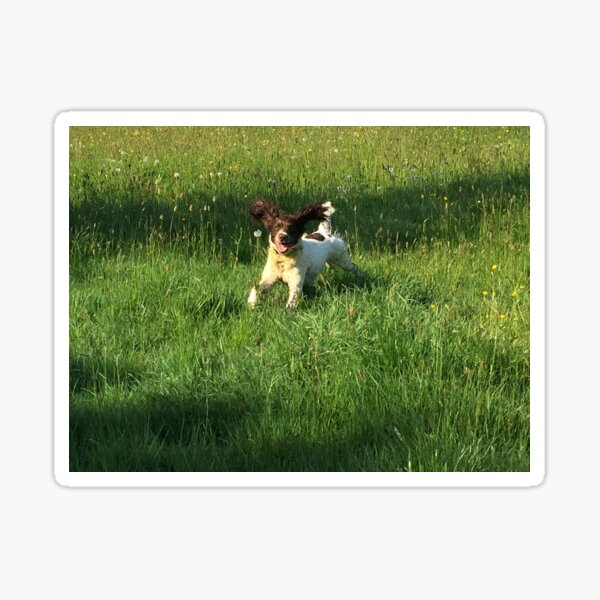 Happy Hound Sticker
