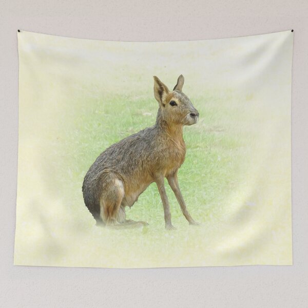 Item preview, Patagonian Mara designed and sold by Guardi71.