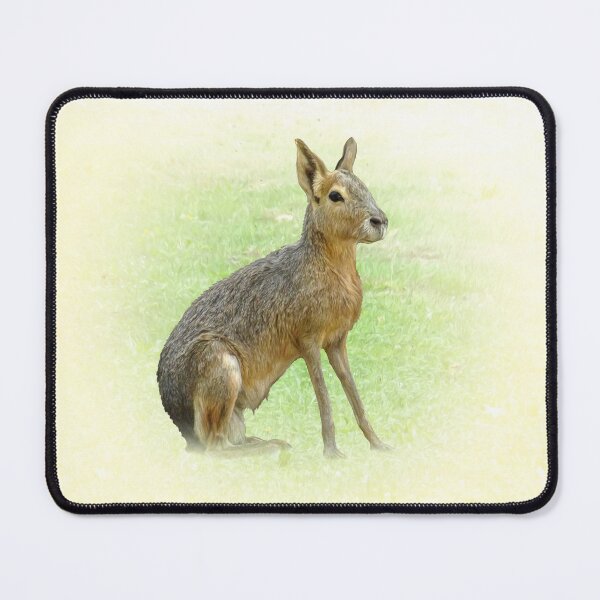 Item preview, Patagonian Mara designed and sold by Guardi71.