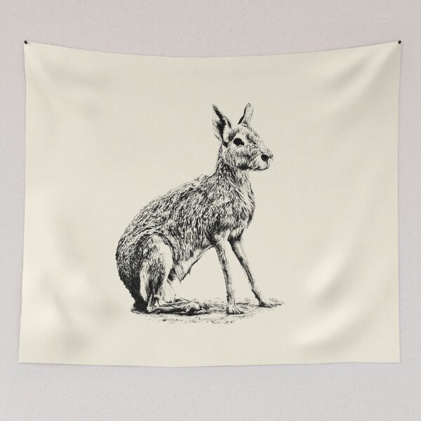 Item preview, Patagonian Mara designed and sold by Guardi71.