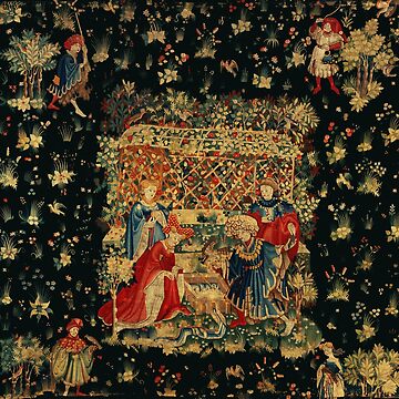 FALCONS BATH Red Blue Antique Medieval Tapestry,Court Figures,Birds,  Flowers ,Rose Trellis | Scarf